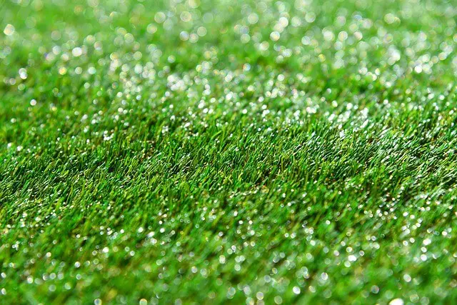 Best Artificial Grass Reviews