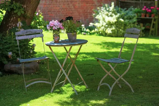 How to make the most of shady garden areas